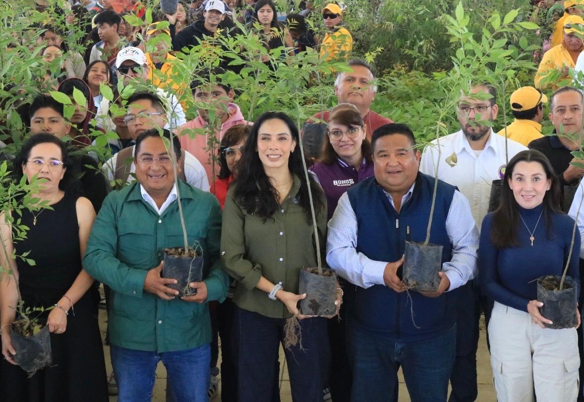 Cumple gobierno estatal meta de plantar un millón 790 mil árboles