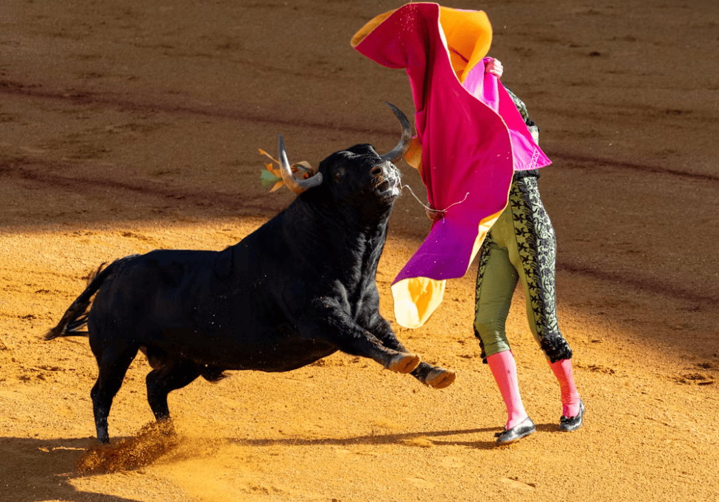 Bienestar Animal y municipio de Tecamachalco suspenden corrida de toros