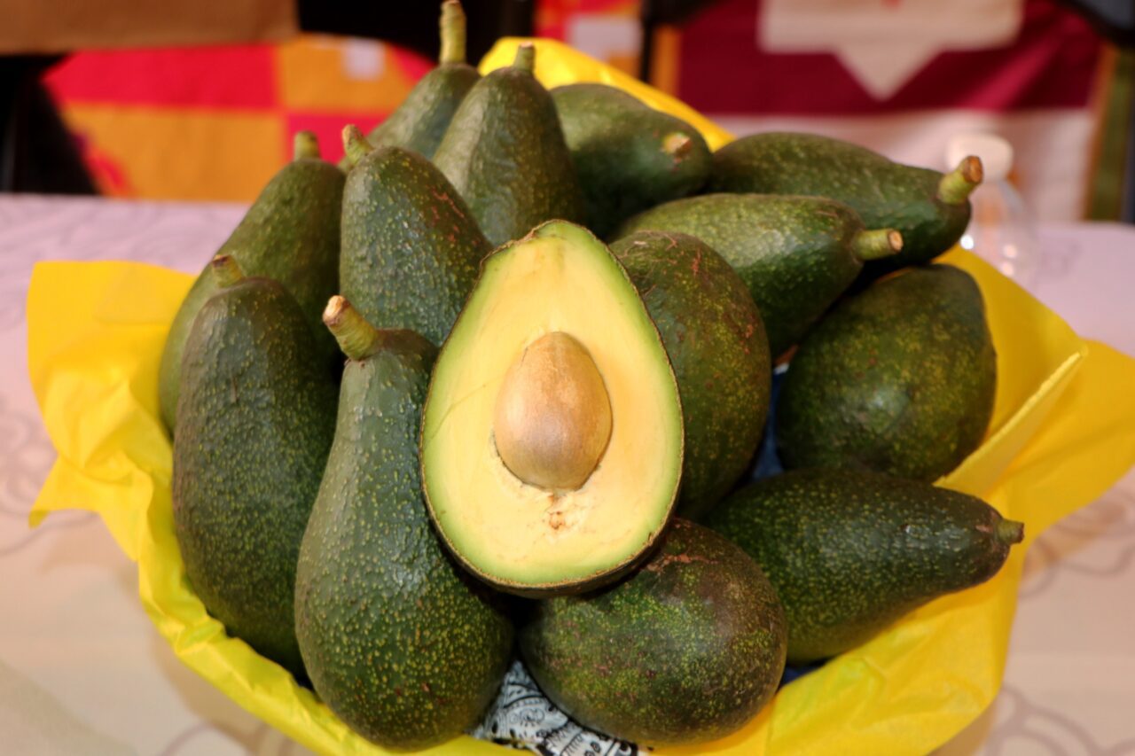 Atlixco te invita a vivir la Feria del Aguacate 2025