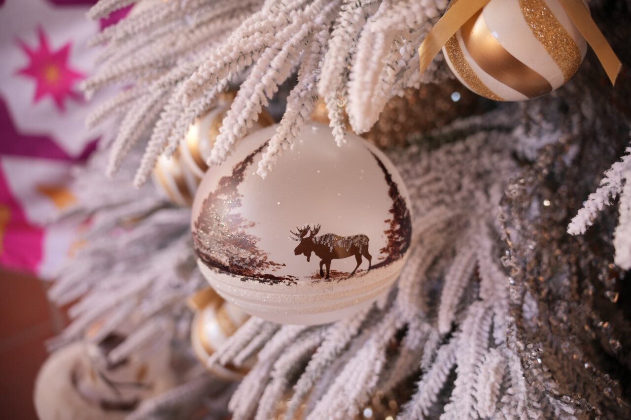 Anuncian Feria Internacional del Árbol y la Esfera 2025