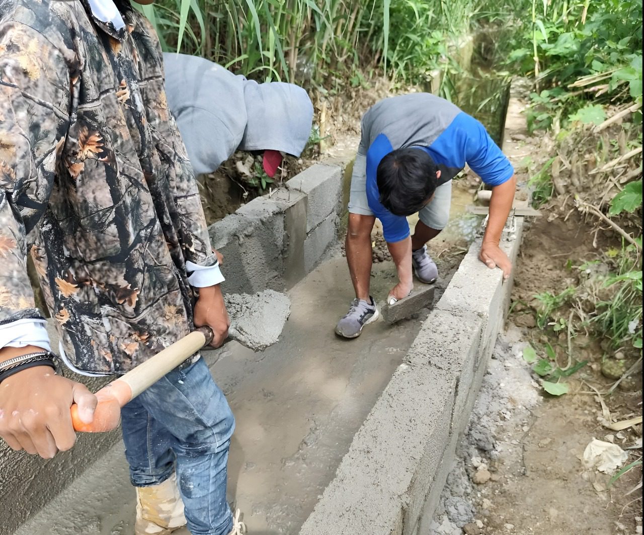 Obra Comunitaria contribuye a mejorar cultivos en Altepexi