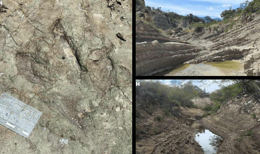 INAH confirma hallazgo de huellas de dinosaurios en la frontera Puebla–Oaxaca: un tesoro del Cretácico emerge en Tehuacán-Cuicatlán