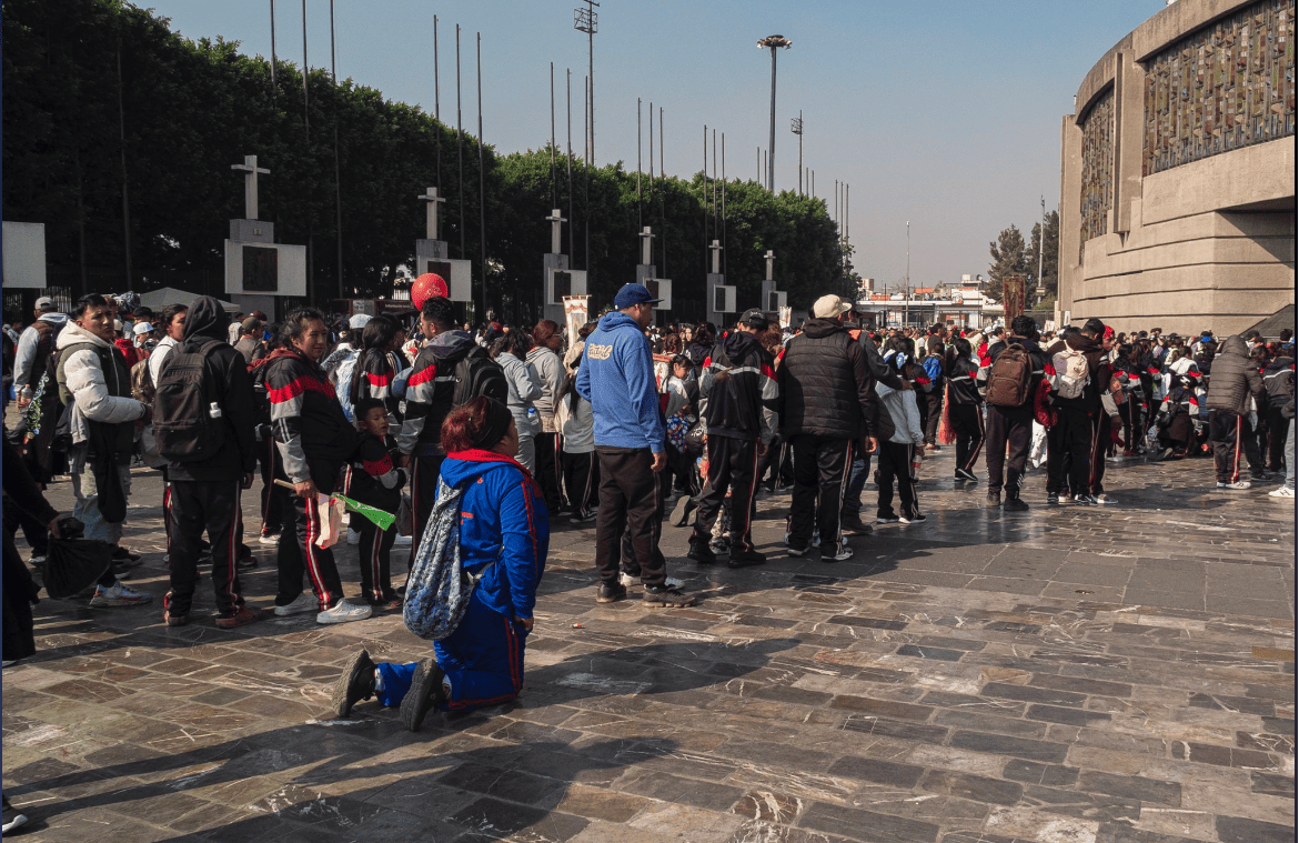 Más de 13 millones de peregrinos llegarán a la Basílica de Guadalupe en 2025, estima la CDMX