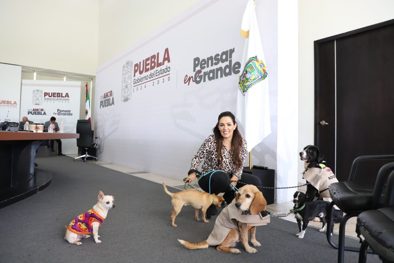 Gobierno del Estado refuerza coordinación con municipios para proteger a seres sintientes