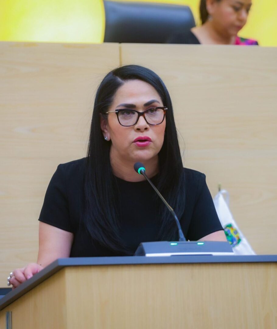 Aprueba Congreso exhorto de la diputada Fedrha Suriano qué fortalecerá programas de apoyo a madres autónomas