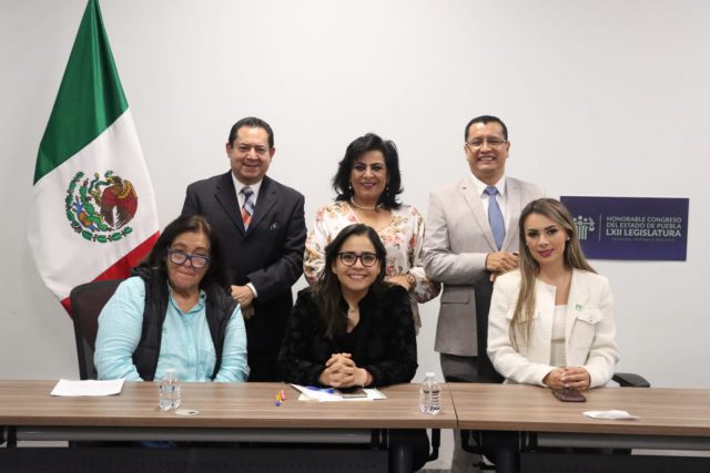 Aprueba Comisión del Congreso exhorto para que municipios resguarden y den en adopción a perros en situación de calle 