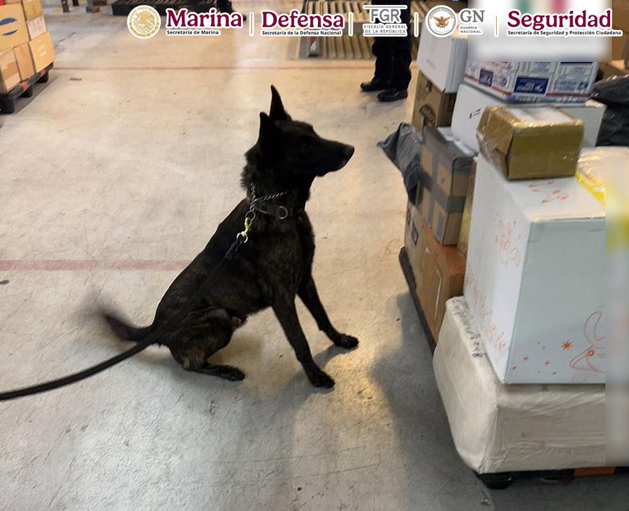 Aseguran un kilo de fentanilo en el AICM; droga provenía de Hong Kong