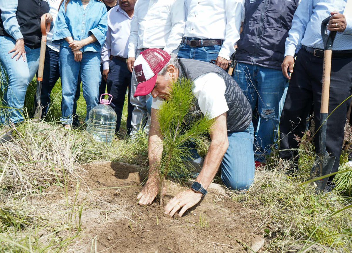 Puebla capital refuerza su compromiso ambiental: meta de plantar 100 mil árboles para 2026