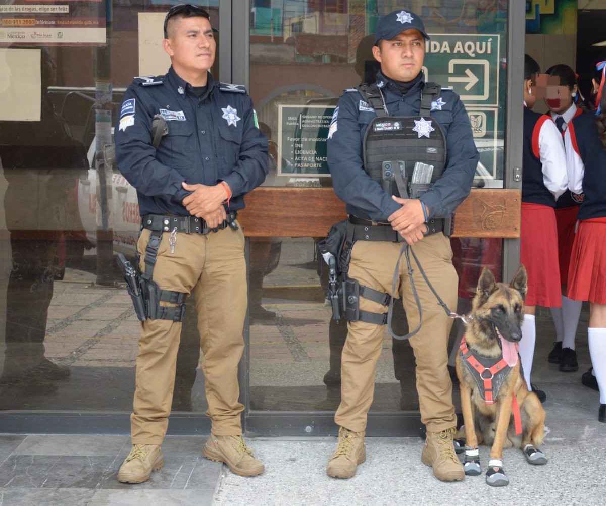 Destaca Gobierno de Pepe Chedraui intervenciones exitosas de la Unidad Canina de la SSC