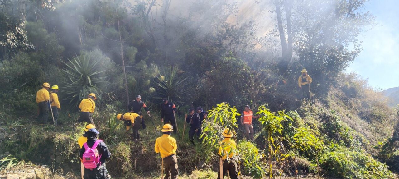 Incendio forestal consume 10 hectáreas de matorral en Chilchotla; Gobierno ya lo combate