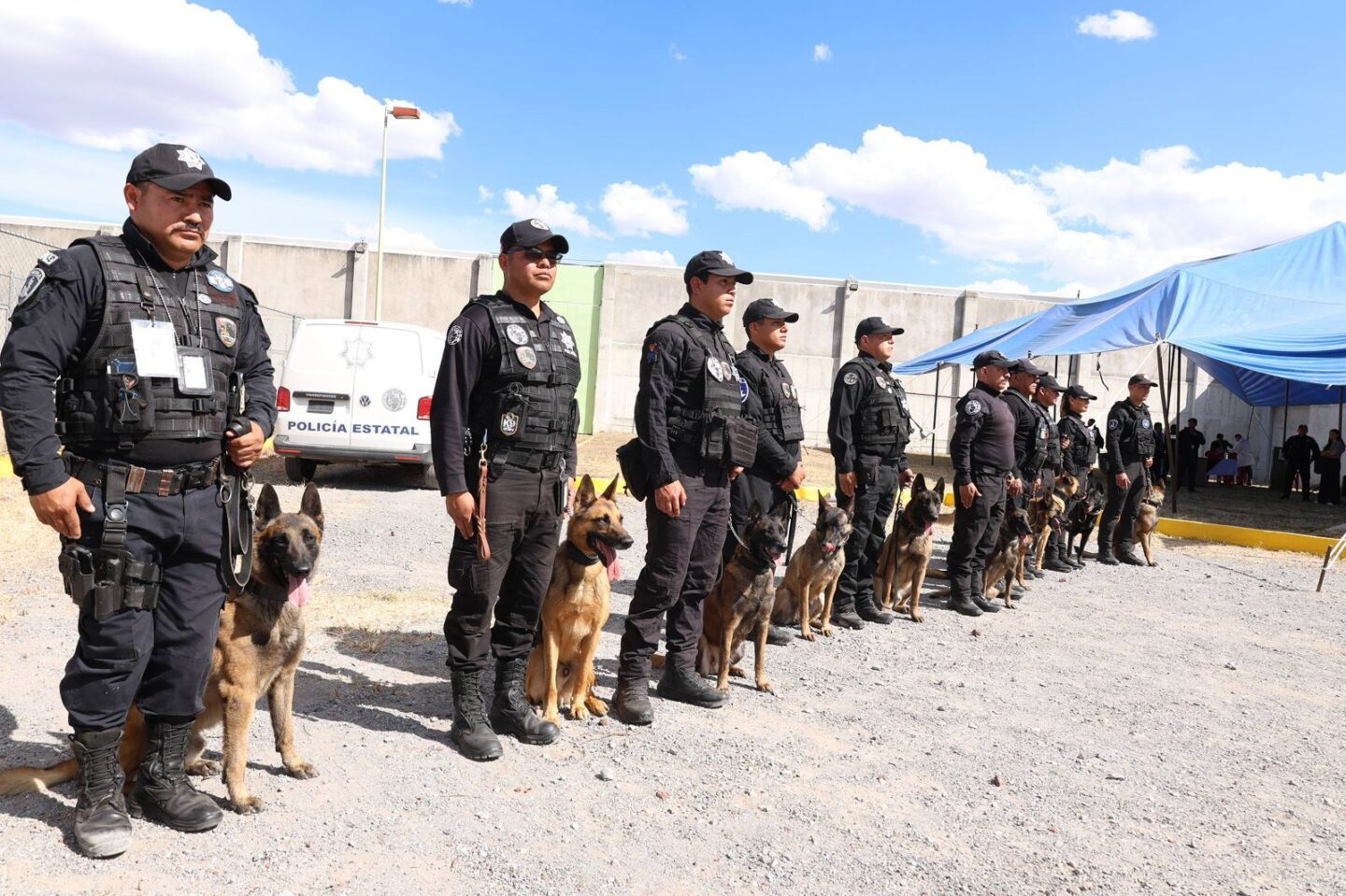 Unidad Cinotáctica K9 de Centros Penitenciarios obtiene certificación: SSP