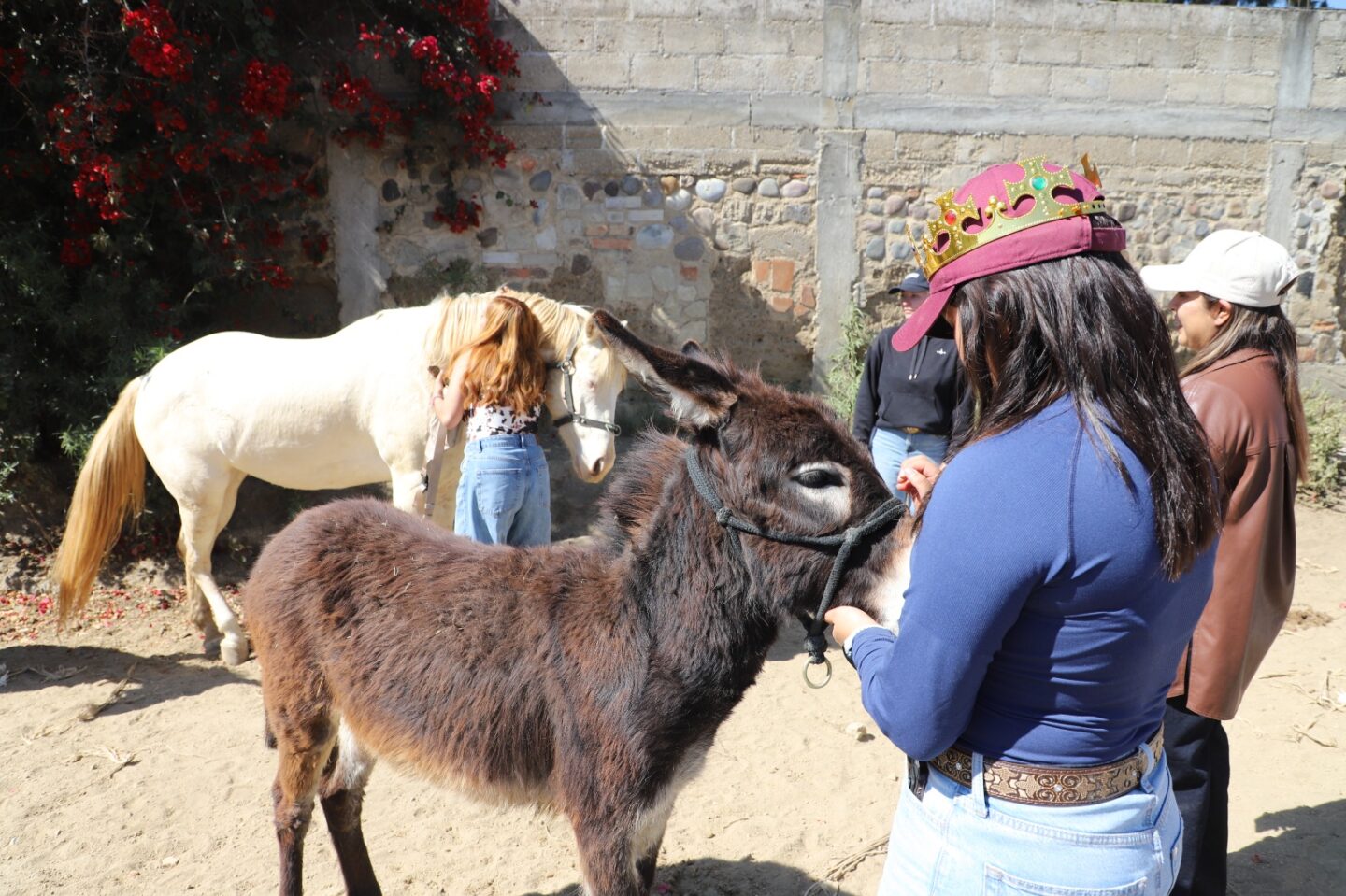 Impulsa IBA convivencia responsable y apoyo animal con “EquiConexión con Causa”