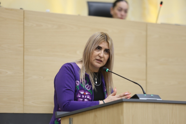 Ante el Pleno del Congreso, comparece la titular de la Fiscalía General del Estado