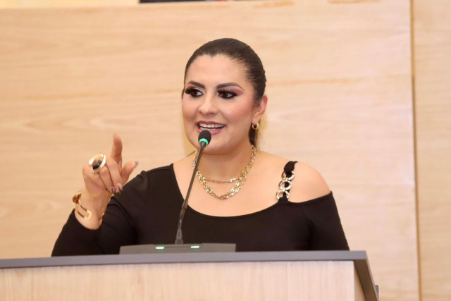 Delfina Pozos propone diagnóstico obligatorio al inicio de cada gestión  