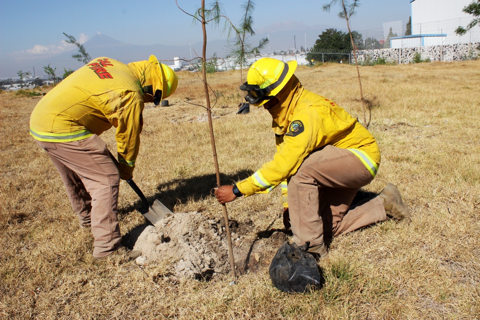 Reforestan Medio Ambiente e IBA el Centro de Bienestar Animal de Xochimehuacán