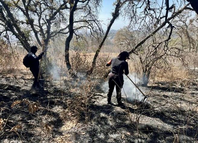 Policía Estatal Forestal controla incendios en Libres y San Pedro Cholula