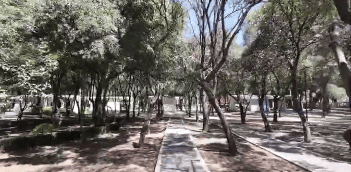 Cablebús en Puebla: prometen reforestación y 1,100 árboles por estación