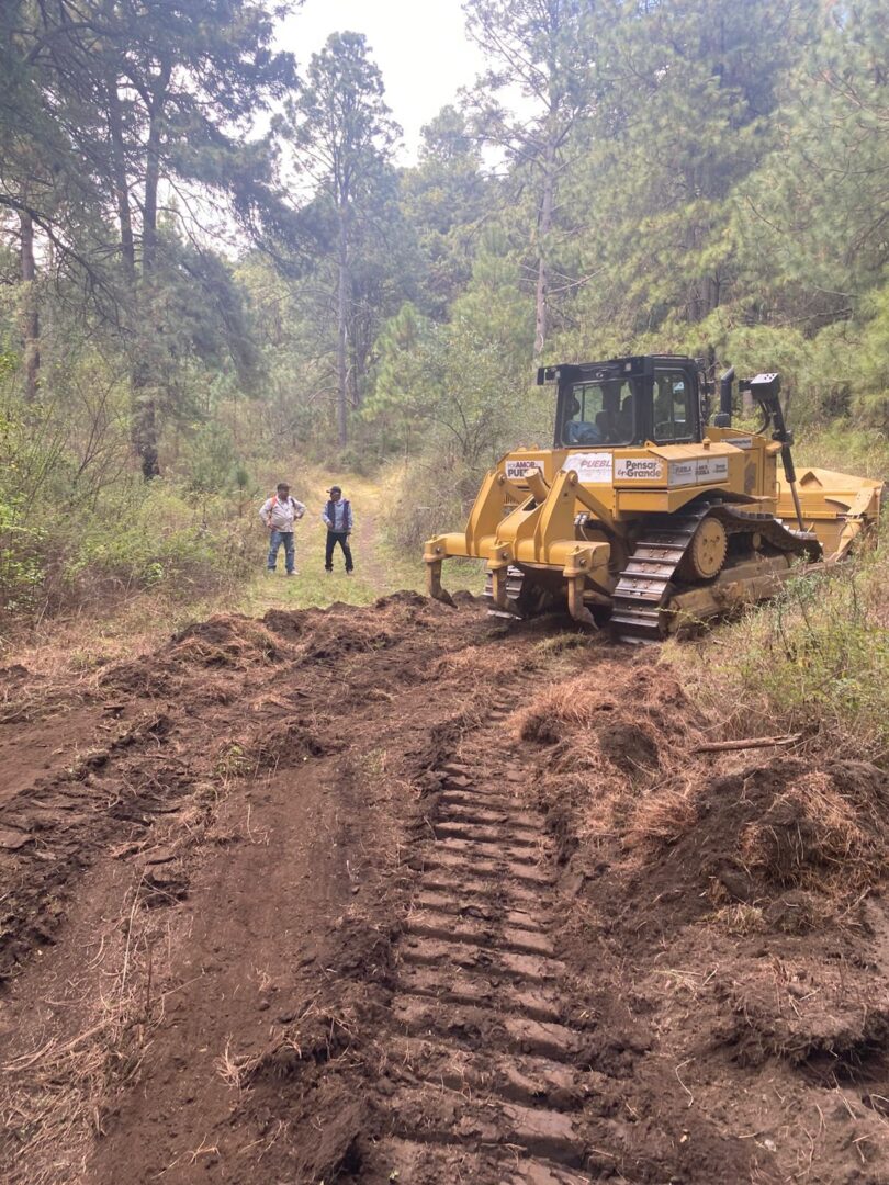 Refuerza Gobierno del Estado prevención de incendios con brechas cortafuegos en Chiautzingo