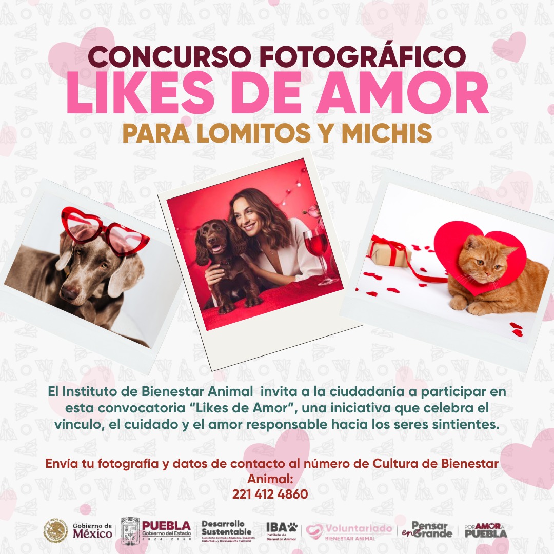 Instituto de Bienestar Animal lanza convocatoria para concurso fotográfico “Likes del Amor”