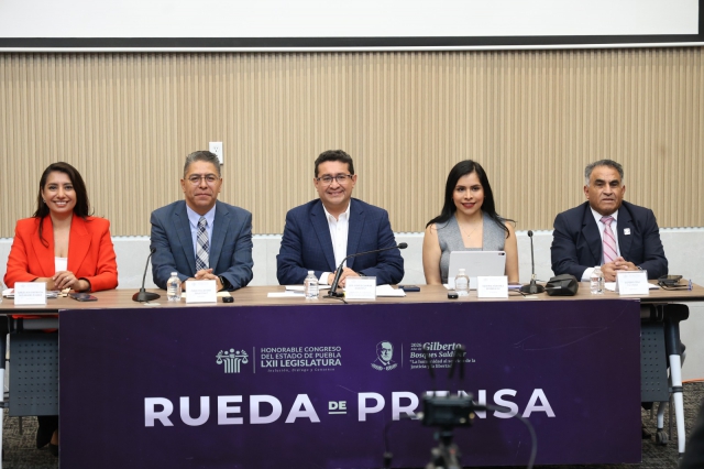 El coordinador de Gabinete está dispuesto a comparecer ante las y los diputados: Pável Gaspar  
