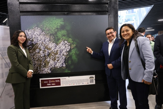 Promueven cultura ambiental desde el Congreso con exposición fotográfica en Puebla 