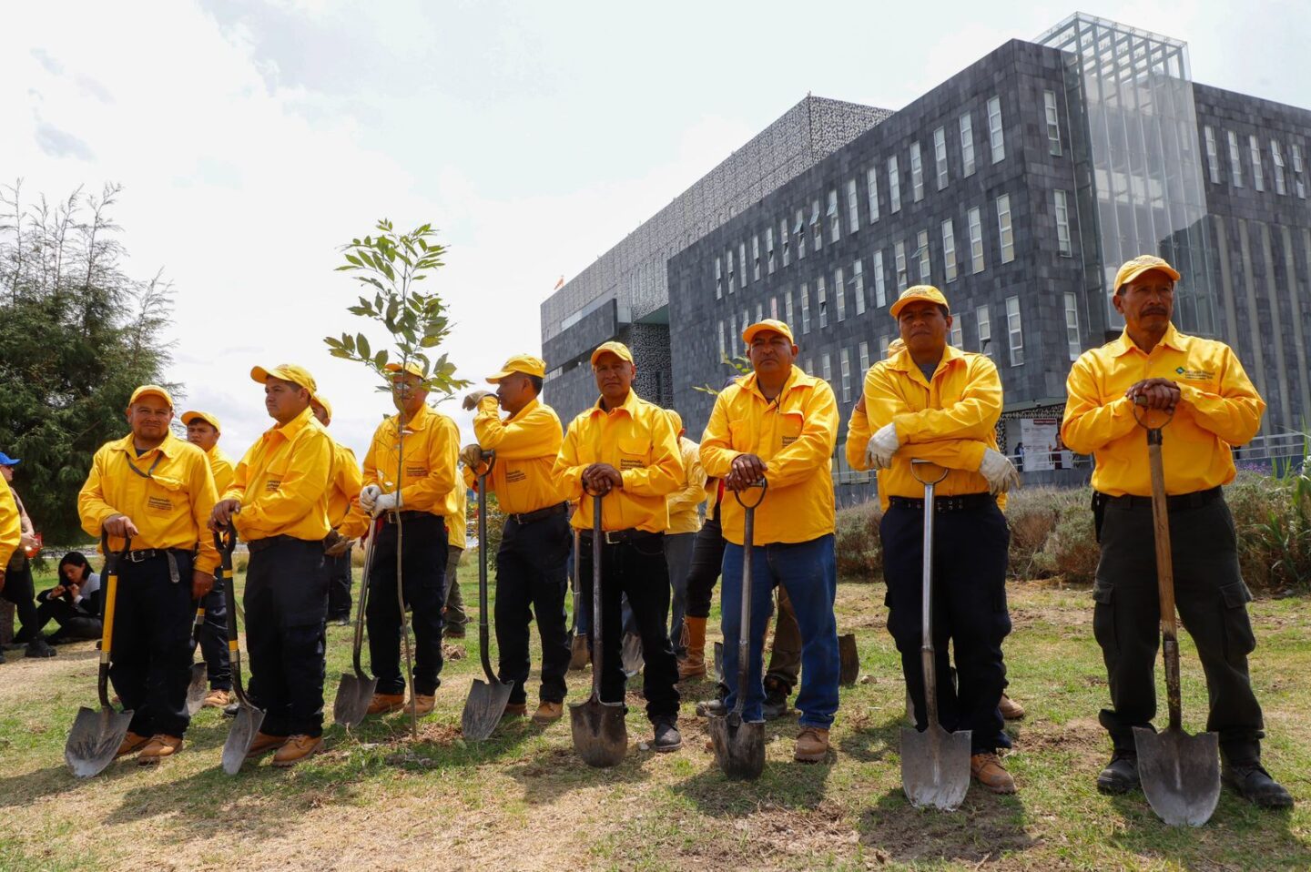 Gobierno Estatal y ambientalistas fortalecen bosque urbano del CIS