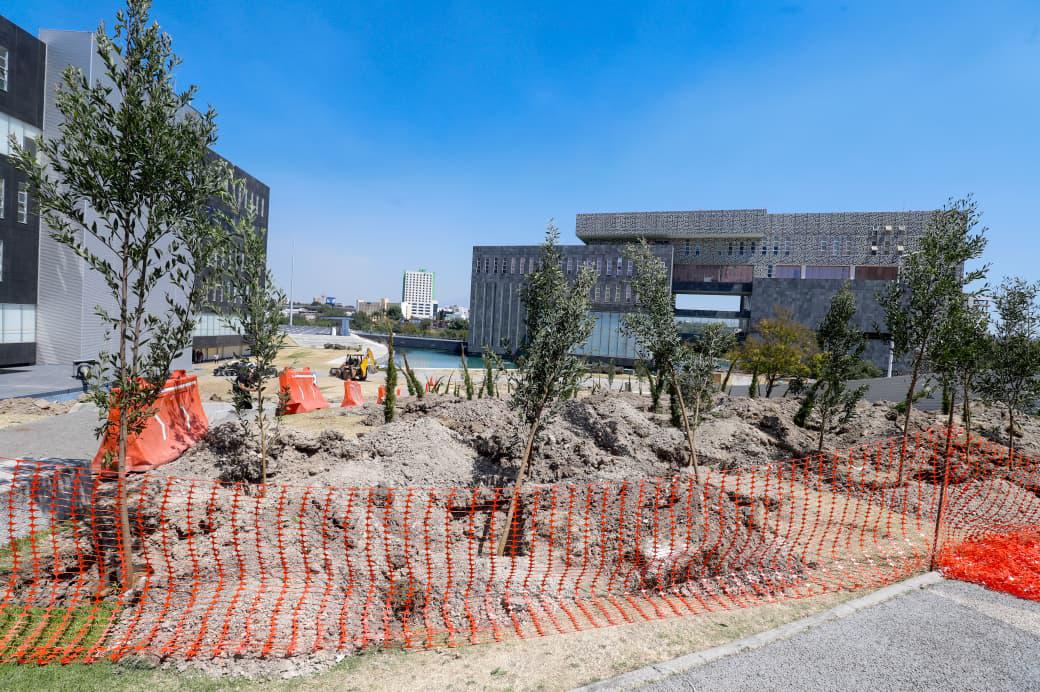 Inicia reforestación urbana en CIS y Parque Ecológico; la meta son 10 mil árboles