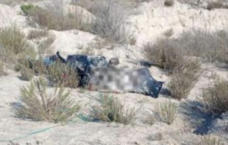 Hallan tres cuerpos embolsados con huellas de violencia en carretera de la Sierra Negra