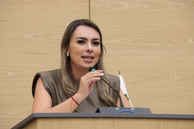 Diputada María de la Barreda presenta exhorto para revisar sanciones por vidrios polarizados en Puebla 