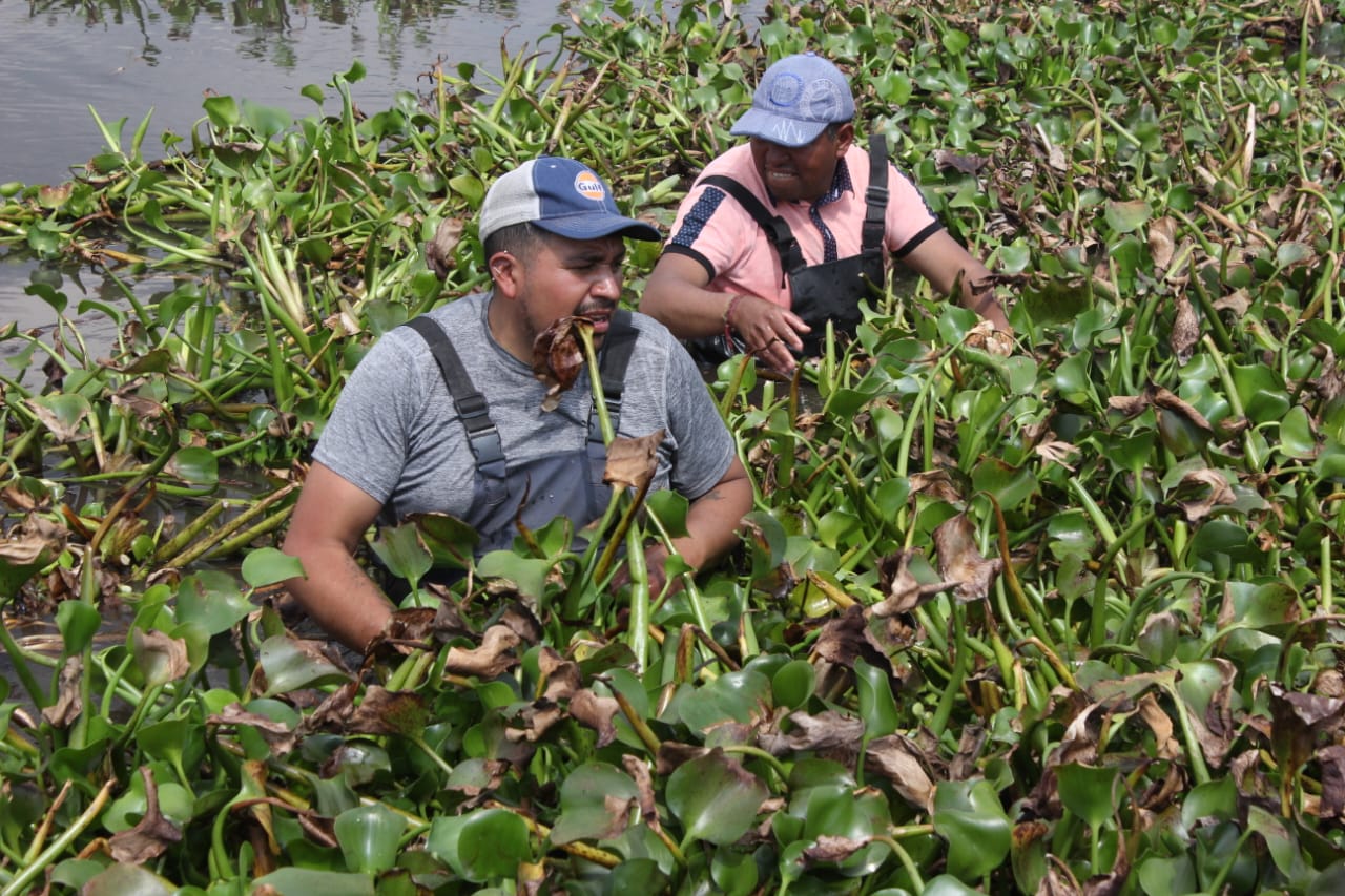 Inicia gobierno estatal saneamiento y reforestación de Laguna de Chignahuapan