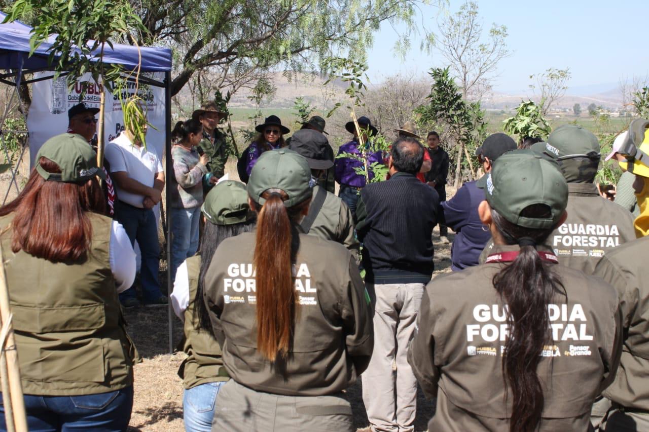 Gobierno de Puebla, fundaciones y población reforestan Parque Bicentenario