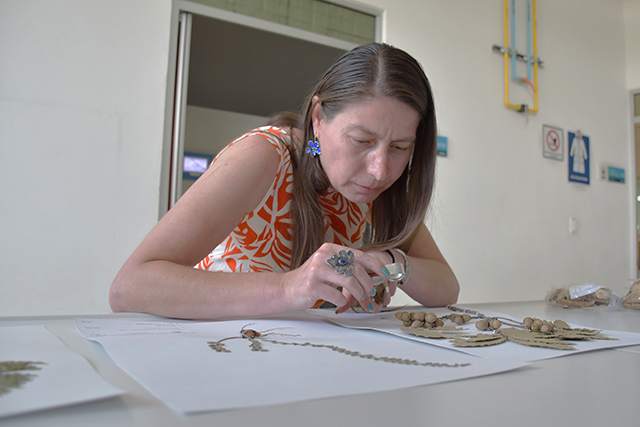 Investigadora de la BUAP asume la presidencia de la Sociedad Botánica de México