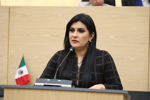 Plantea la diputada Delfina Pozos ajuste a reformas sobre el delito de despojo