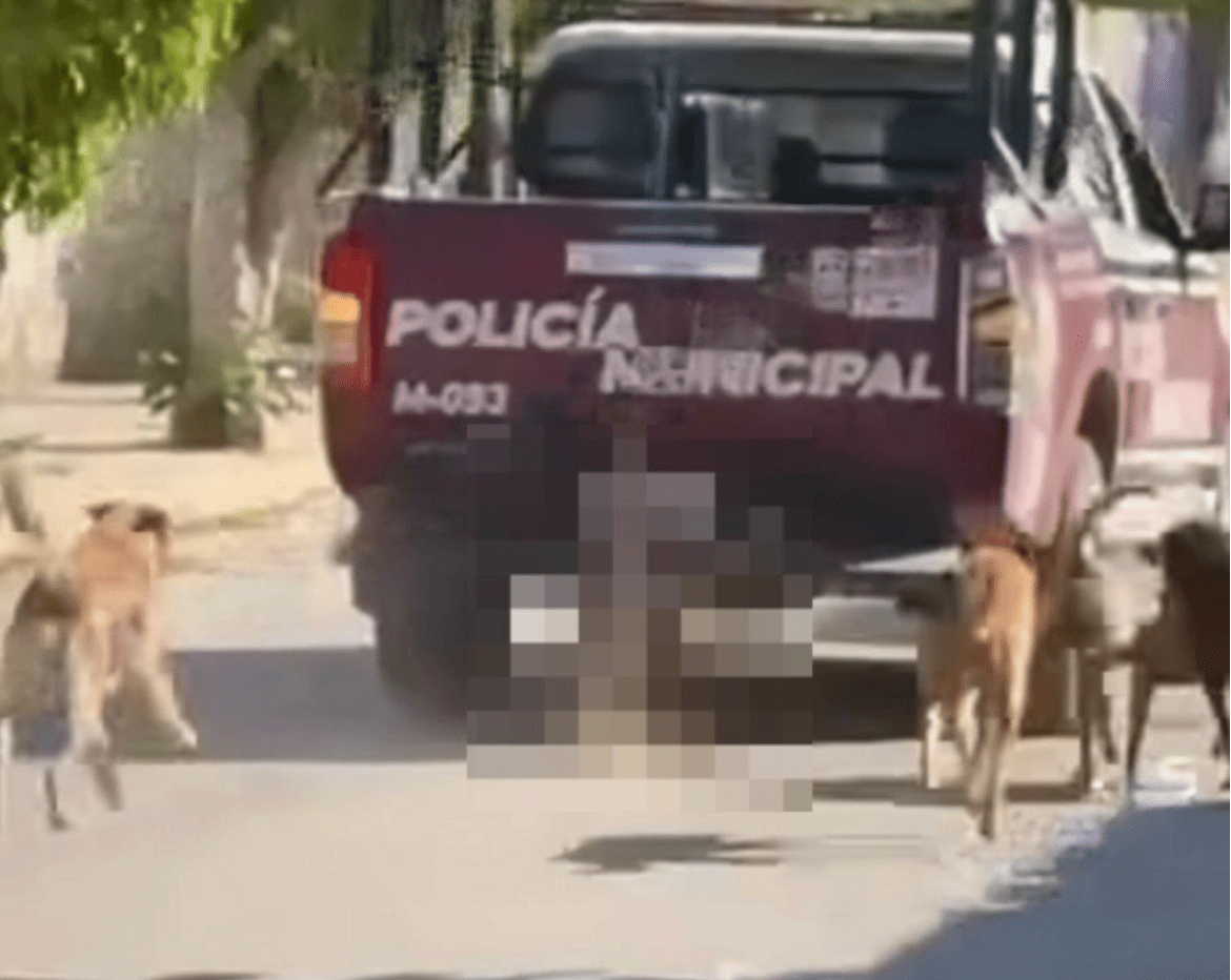 Exigen sanciones por presunto maltrato animal cometido por policías en San Felipe Xochiltepec
