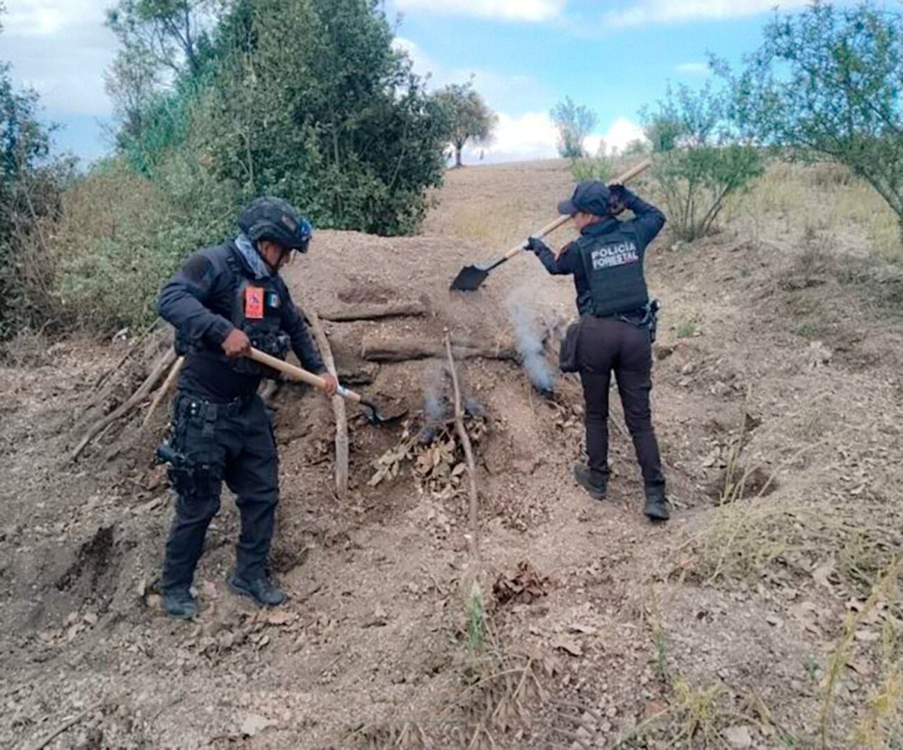 Con operativos, SSP fortalece protección al medio ambiente