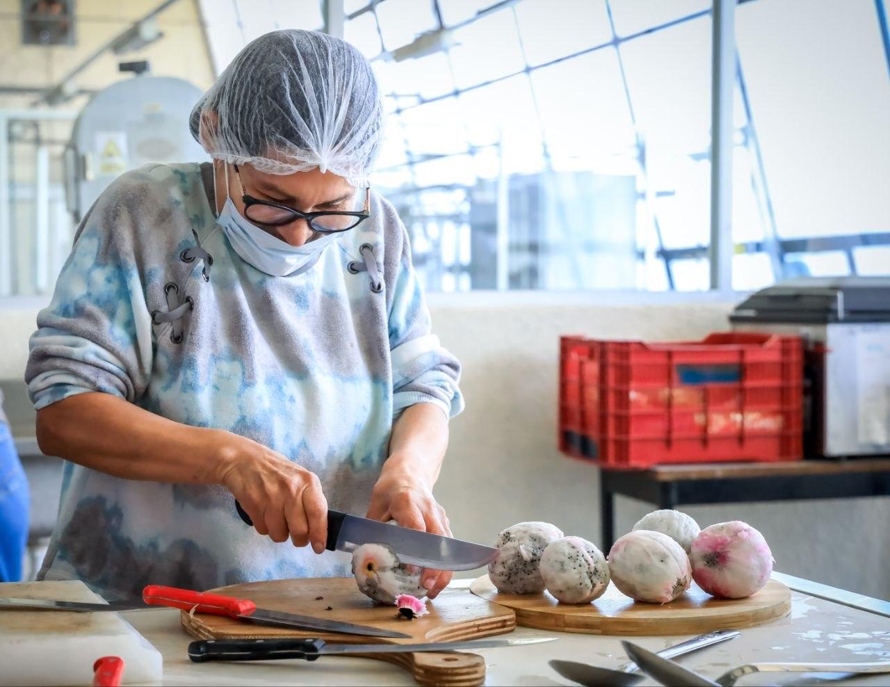Impulsa UTTECAM valor agroalimentario con taller de pitahaya