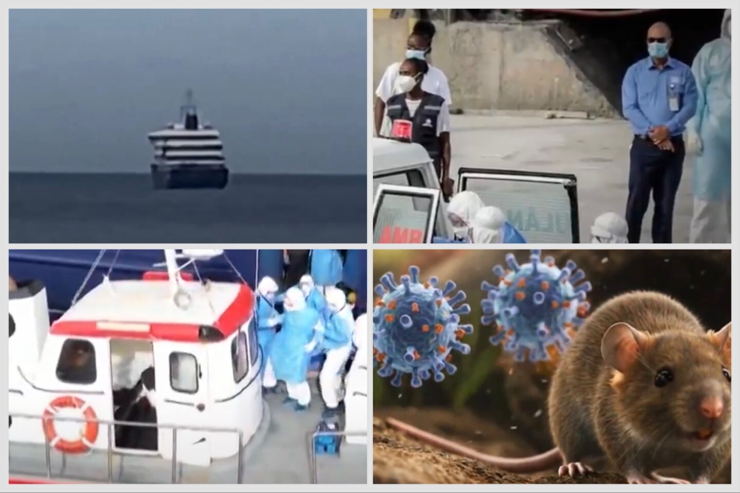 Crucero bajo vigilancia sanitaria: hantavirus deja muertos y pacientes críticos
