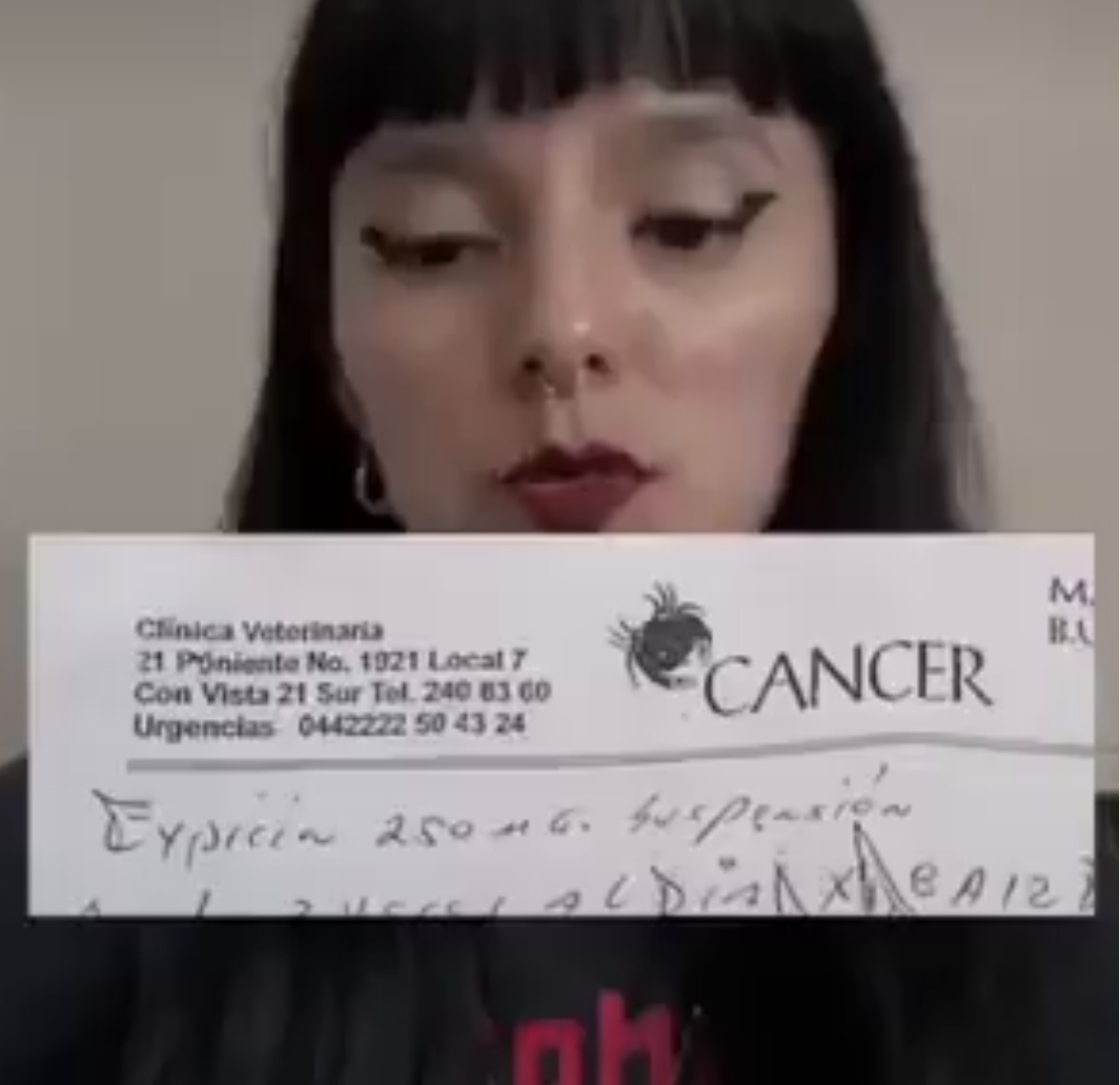Denuncian presunta usurpación de profesión y maltrato animal en veterinaria “Cáncer” en Puebla