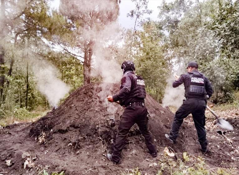 Policía Forestal destruye 11 hornos clandestinos para deshidratar madera
