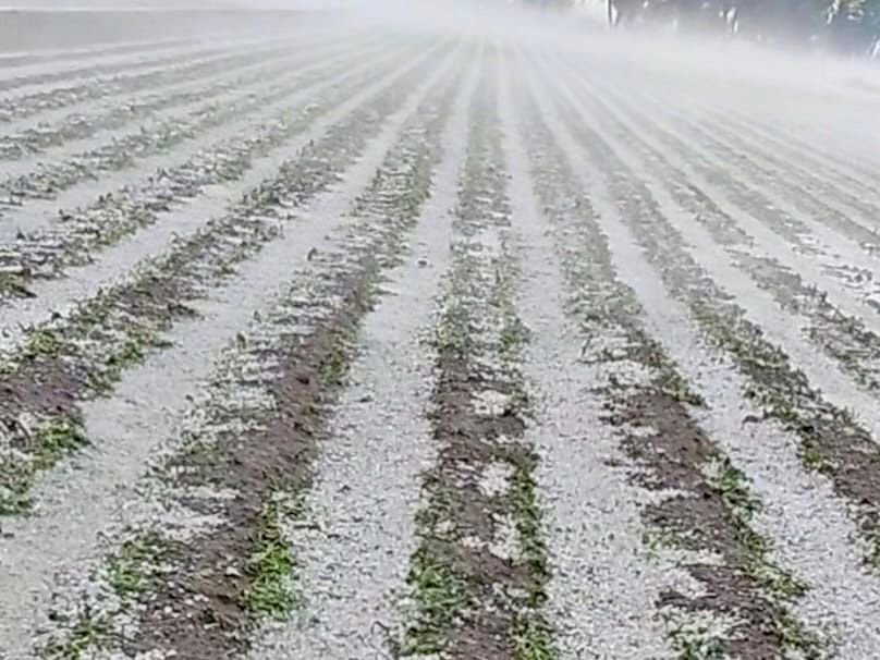 Gobierno del Estado supervisa afectaciones por granizada en municipios de Región Izta-Popo