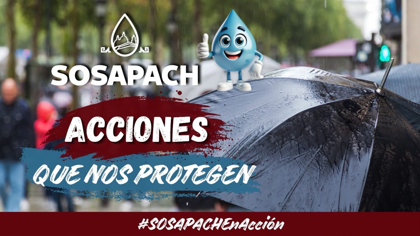 San Pedro Cholula, Puebla, 5 de junio de 2026
