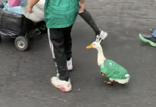 Merlín, el pato que conquistó el Mundial 2026 y se volvió símbolo de la afición mexicana