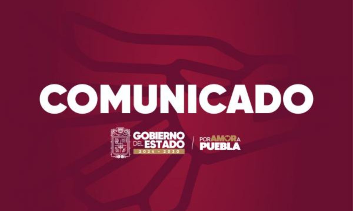 Bienestar Animal del SEDIF presenta denuncia penal por agresión con arma de fuego contra caninos