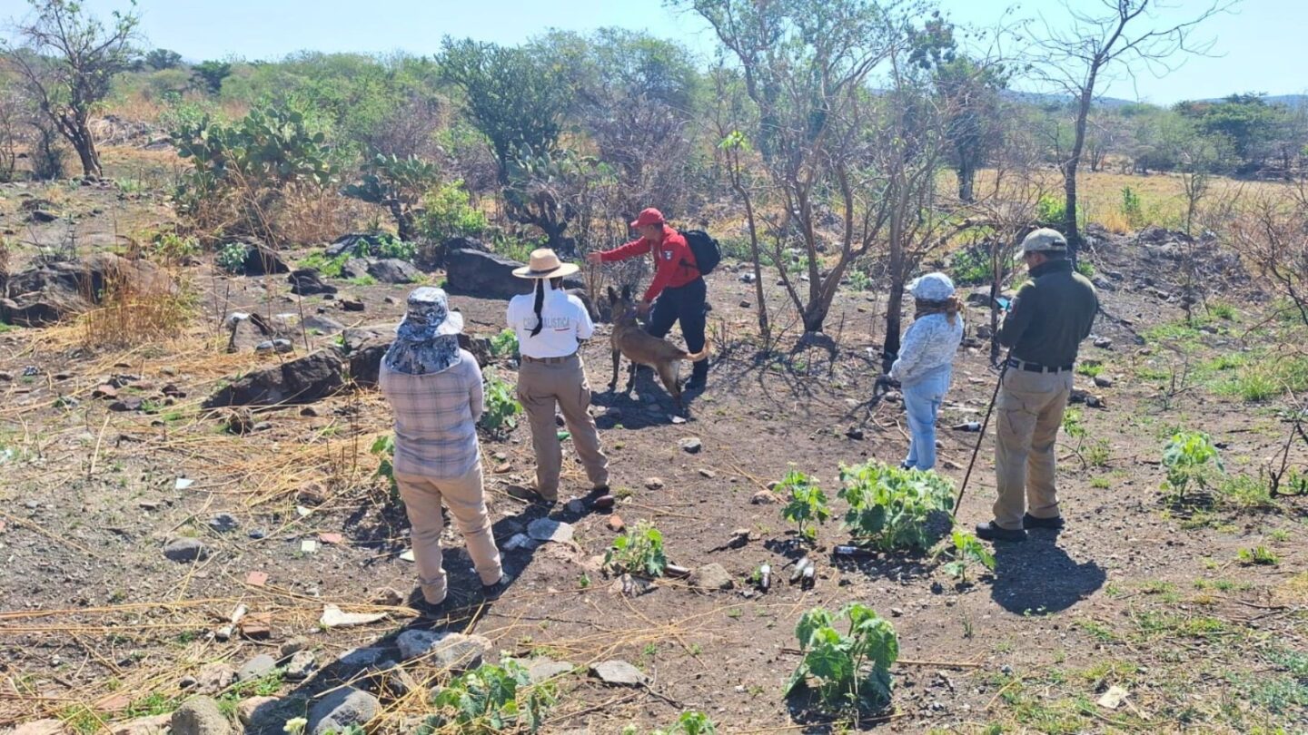Mesas de trabajo del gobierno estatal con familias buscadoras fortalecen resultados
