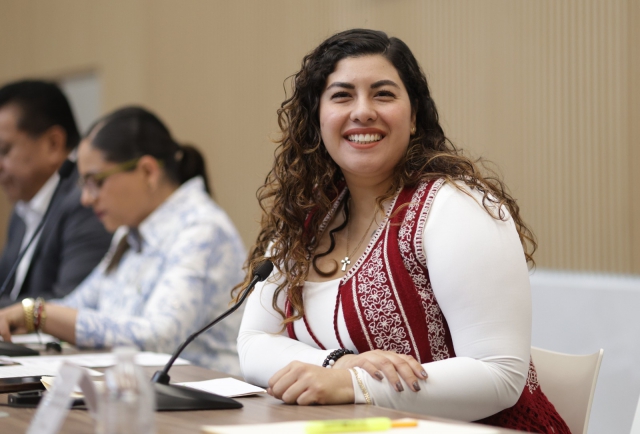 Diputada Xel Arianna Hernández impulsa trabajo legislativo para fomentar el uso de tecnologías limpias