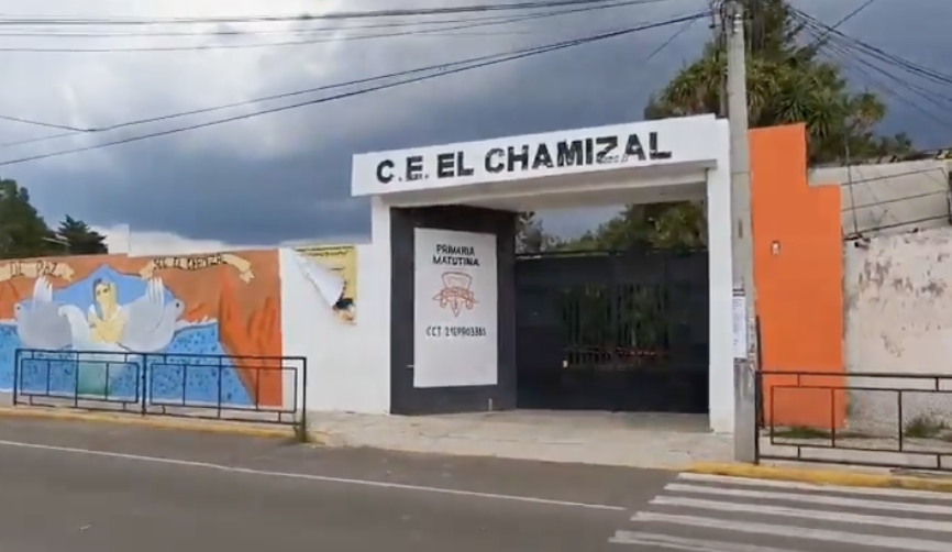 Falsa alarma en escuela de Puebla: operativo confirma que restos hallados eran de un animal