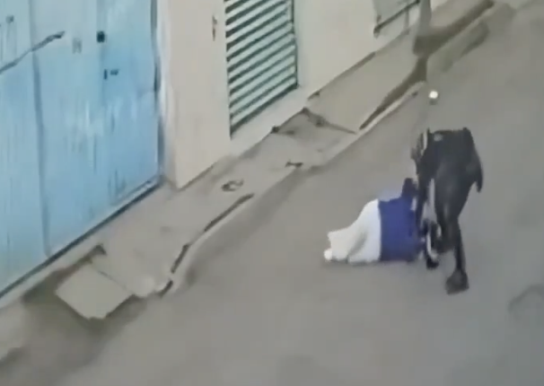 Sujetos en motocicleta asaltan y golpean a mujer en San Ramón; ataque quedó grabado en video