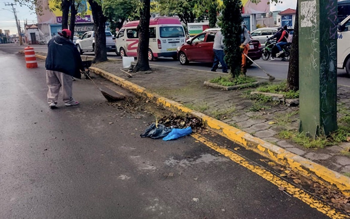 Interviene gobierno de Pepe Chedraui más de 16 millones de metros cuadrados de camellones