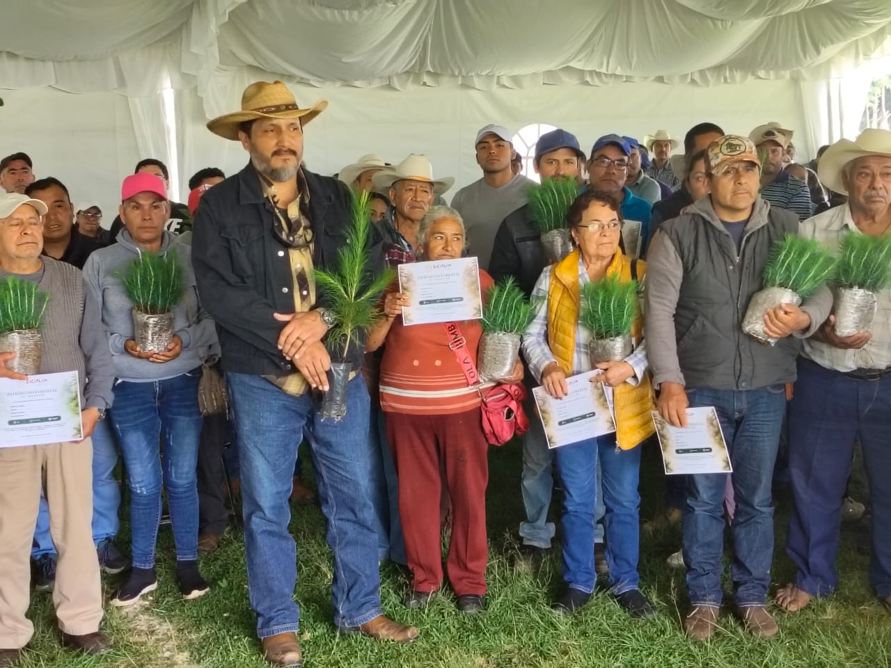 Respalda gobierno estatal nuevo patrimonio natural de 626 mil árboles en Zacatlán