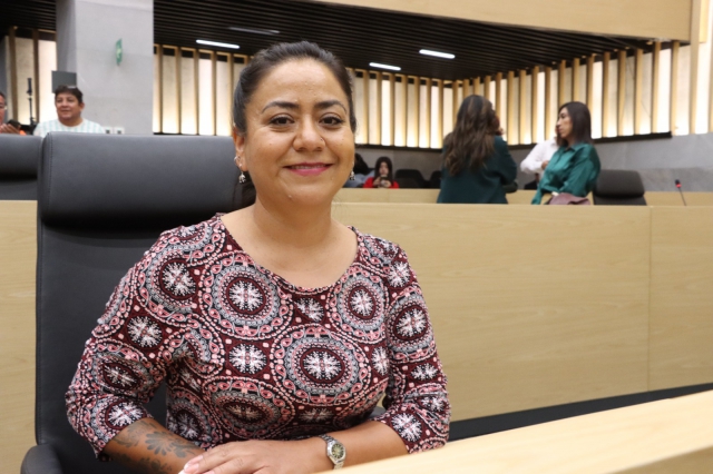 Diputada Celia Bonaga impulsa iniciativa para promover e implementar programas de captación de agua pluvial